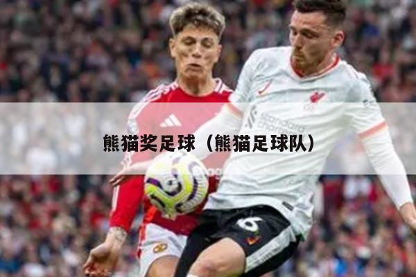 熊猫奖足球（熊猫足球队）