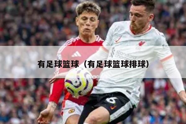 有足球篮球（有足球篮球排球）