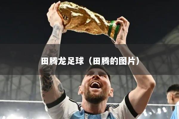 田腾龙足球（田腾的图片）